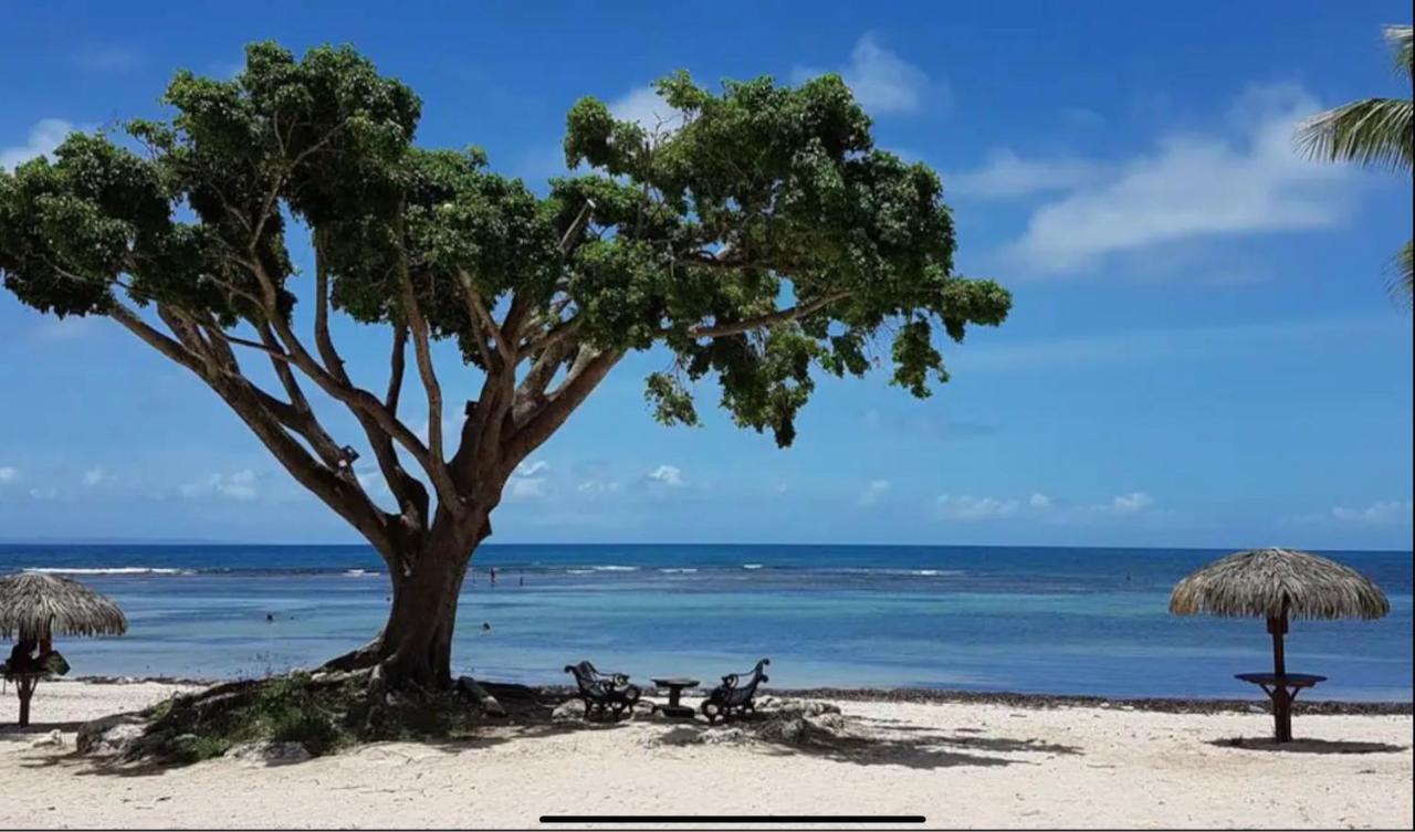 Appartement Le 35 Anse Des Rochers Saint-françois