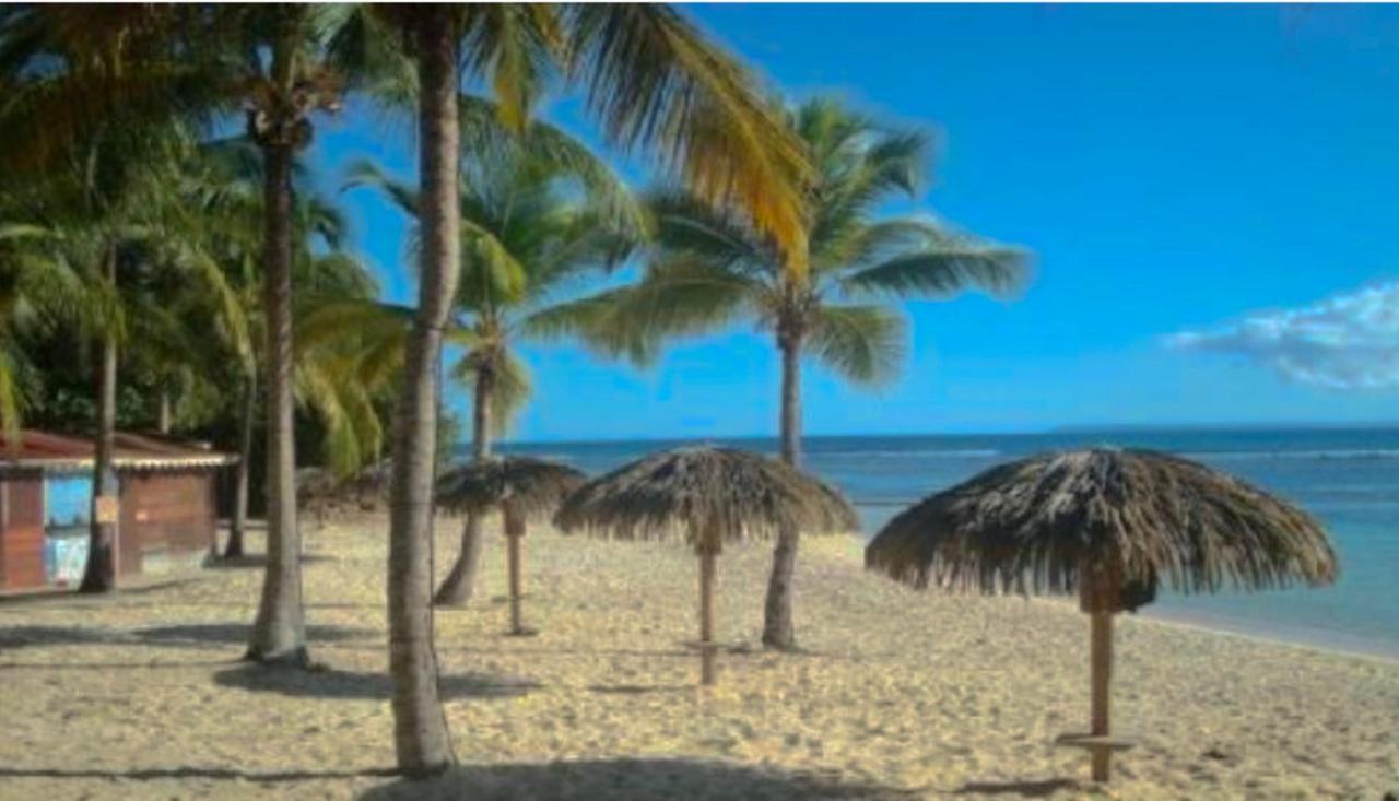 Appartement Le 35 Anse Des Rochers Saint-françois